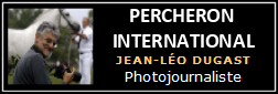 Percheron International
